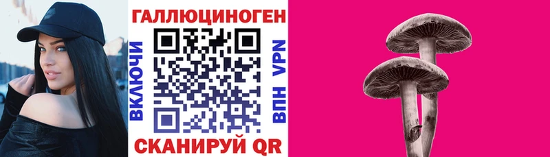 Псилоцибиновые грибы Psilocybe  Лукоянов 
